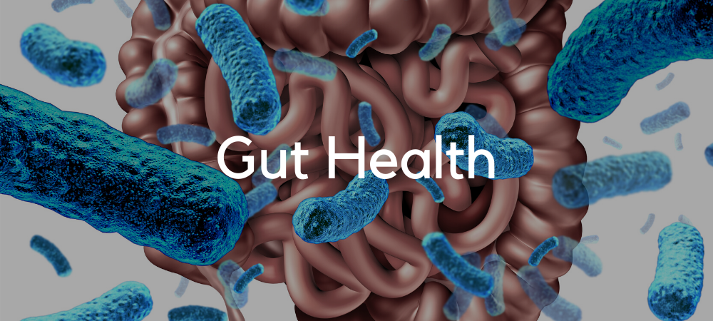A healthy gut microbiome
